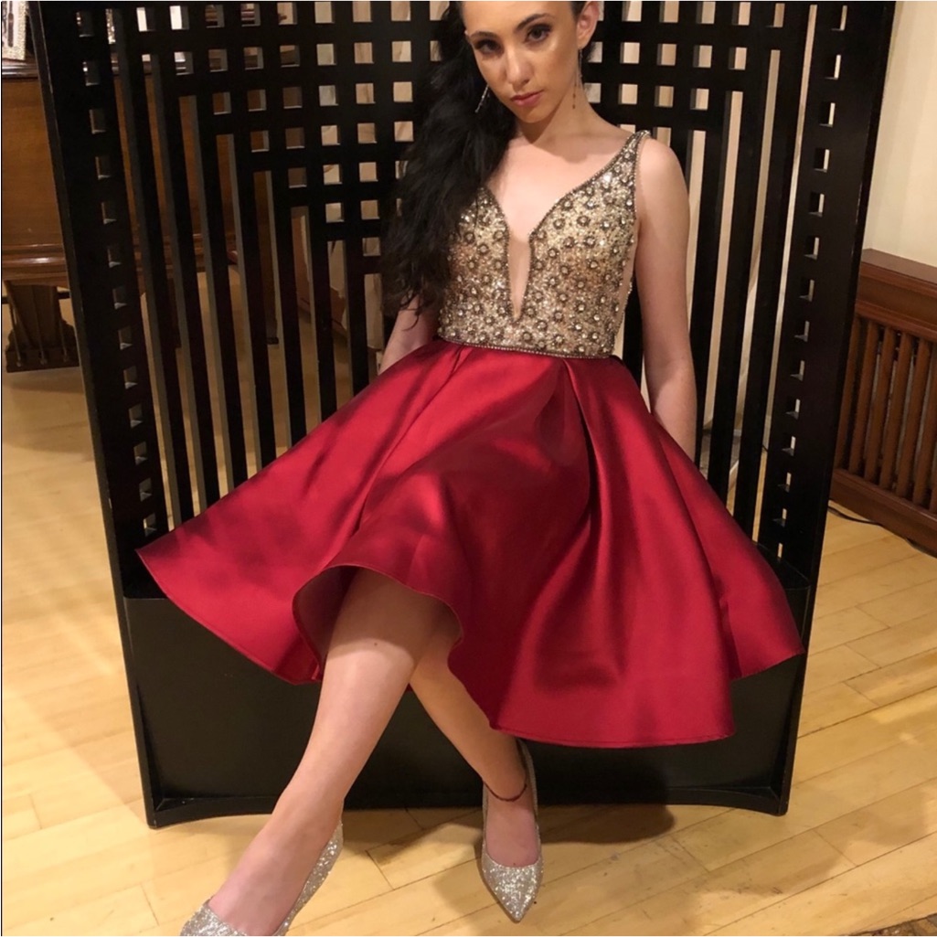 Nwt Elegant Terani Red And Silver Embellished Dress